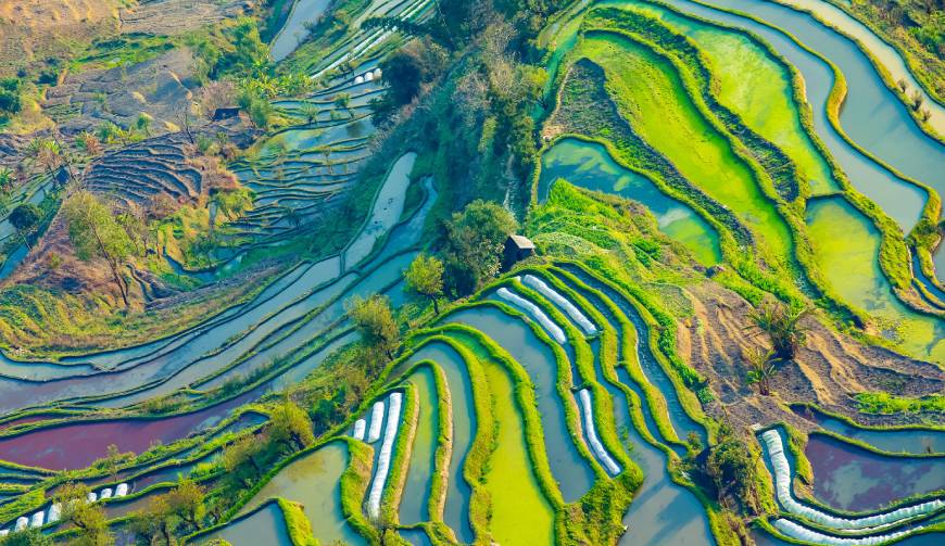 宝妈必备神器：醴陵市产品视频拍摄轻松育儿好帮手