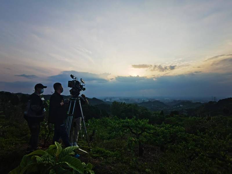 聚焦醴陵市产品宣传视频拍摄公司，用专业实力铸就品牌传播传奇